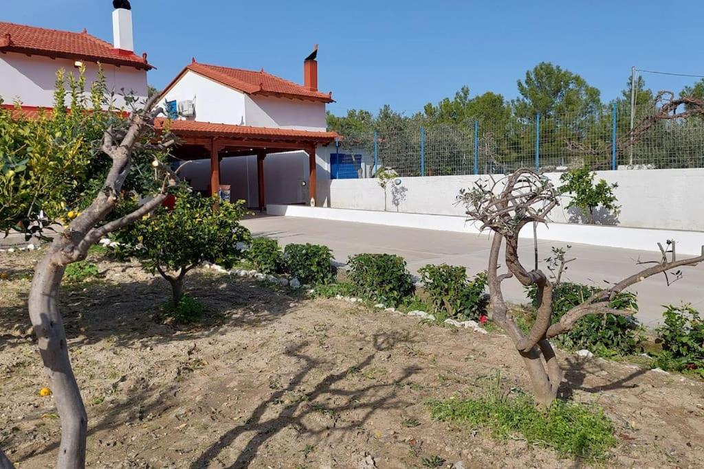 Aleyna House Area Líndos