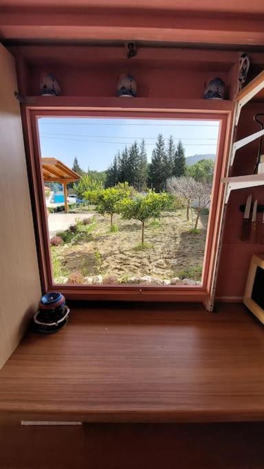 Aleyna House Area