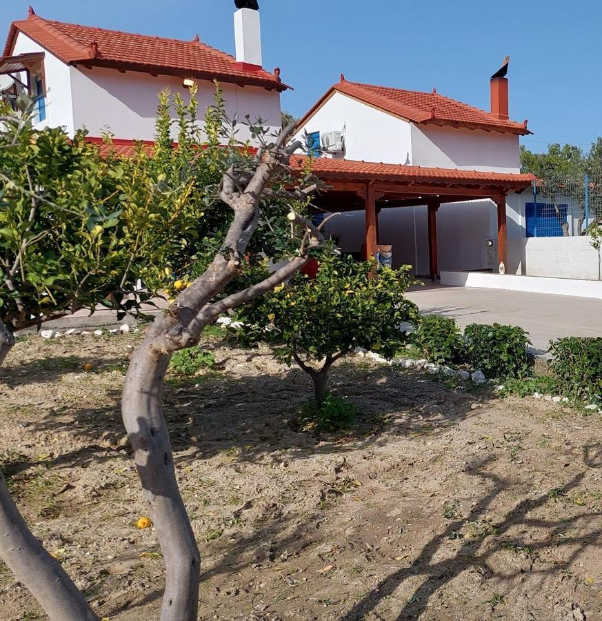Aleyna House Area